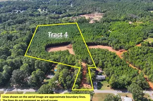 0 Cashtown Road - Tract 4, Aragon, GA 30104 - Photo 1