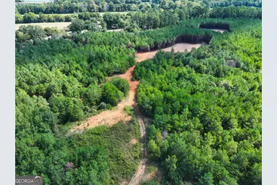 0 Cashtown Road - Tract 4 #TRACT 4, Aragon, GA 30104 - Photo 11