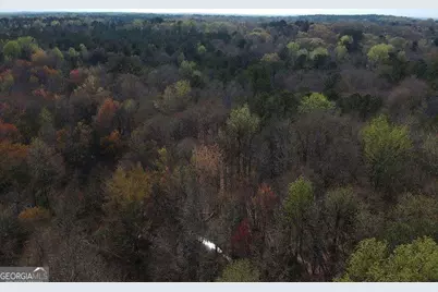 0 Cobb Road, Covington, GA 30014 - Photo 9