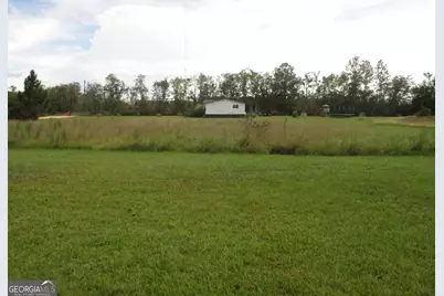 646 Foster Steadham Road, Baxley, GA 31513 - Photo 27