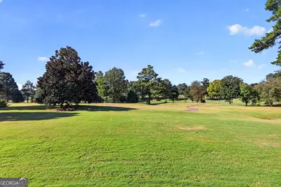 969 Palmetto Tyrone Road, Sharpsburg, GA 30277 - Photo 57