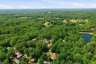 110 Fall Pippin Court, Clarkesville, GA 30523 - Photo 69
