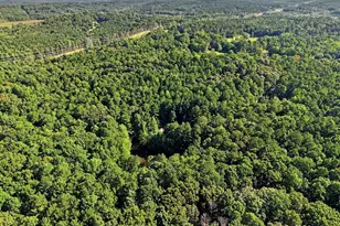 2810 Roscoe Rd, Newnan, GA 30263 - Photo 9