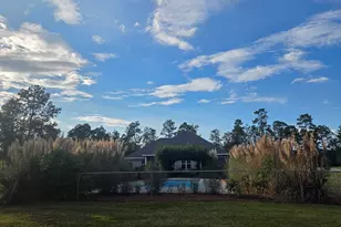 439 Bob Sharpe Rd, Vidalia, GA 30474 - Photo 75
