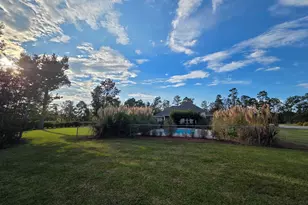 439 Bob Sharpe Rd, Vidalia, GA 30474 - Photo 91