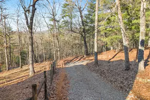 234 Old Indian Trail, Blue Ridge, GA 30513 - Photo 47