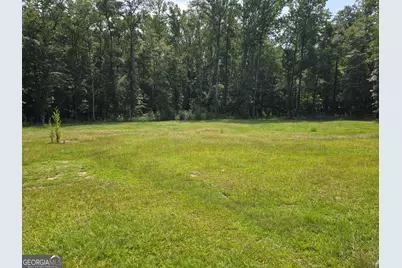 325 Rain Valley Circle, Meansville, GA 30256 - Photo 5