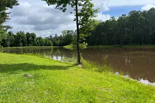 104 E Oak St, Luthersville, GA 30251 - Photo 45