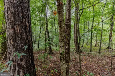 5127 Proctor Landing Road, Acworth, GA 30101 - Photo 11