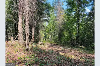 0 Fouche Road #UNIT A, Buena Vista, GA 31803 - Photo 37