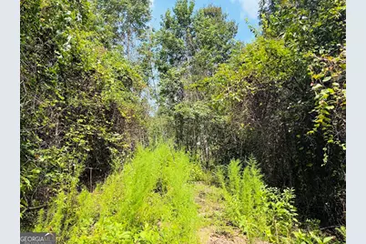 0 Fouche Road #UNIT A, Buena Vista, GA 31803 - Photo 39