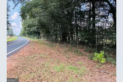0 Fouche Road #UNIT A, Buena Vista, GA 31803 - Photo 51