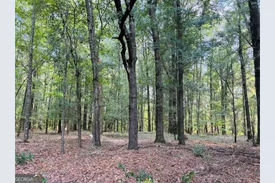 0 Fouche Road #UNIT A, Buena Vista, GA 31803 - Photo 31