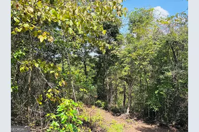 0 Fouche Road #UNIT A, Buena Vista, GA 31803 - Photo 41