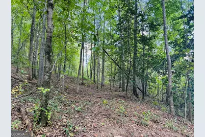 0 Fouche Road #UNIT A, Buena Vista, GA 31803 - Photo 45