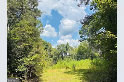 0 Fouche Road #UNIT A, Buena Vista, GA 31803 - Photo 21