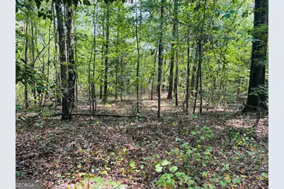 0 Fouche Road #UNIT A, Buena Vista, GA 31803 - Photo 25