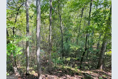 0 Fouche Road #UNIT A, Buena Vista, GA 31803 - Photo 23