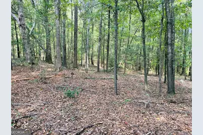 0 Fouche Road #UNIT A, Buena Vista, GA 31803 - Photo 33