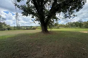 590 Bussell Rd, Warthen, GA 31094 - Photo 21