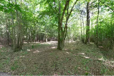 0 Apt To Miss Rd, Monticello, GA 31064 - Photo 9
