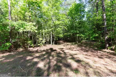 0 Apt To Miss Rd, Monticello, GA 31064 - Photo 1