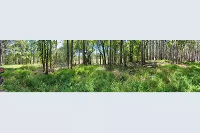 1102 Mitchell Road, Maysville, GA 30558 - Photo 13