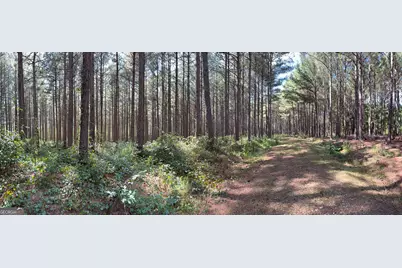 1102 Mitchell Road, Maysville, GA 30558 - Photo 5