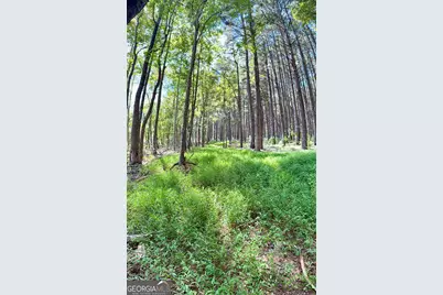 1102 Mitchell Road, Maysville, GA 30558 - Photo 11