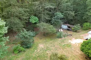 460 Etheridge Mill Rd, Milner, GA 30257 - Photo 47
