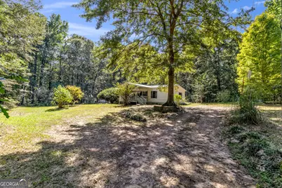 460 Etheridge Mill Road, Milner, GA 30257 - Photo 41