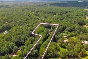 460 Etheridge Mill Rd, Milner, GA 30257 - Photo 39