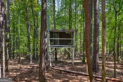 270 Gibson Road, Newnan, GA 30263 - Photo 41