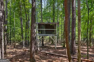 270 Gibson Rd, Newnan, GA 30263 - Photo 41