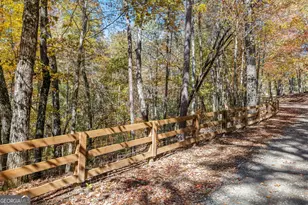 1010 Meadowview Ridge, Clarkesville, GA 30523 - Photo 47