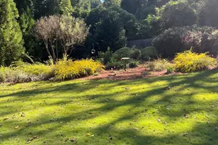255 Caroline Ave, Athens, GA 30606 - Photo 37