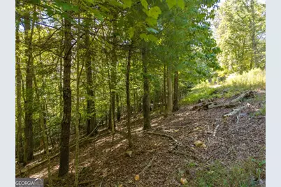 Lt 27/28 Donna Lee Lane #27/28, Mineral Bluff, GA 30559 - Photo 7