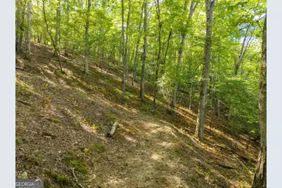 Lt 27/28 Donna Lee Lane #27/28, Mineral Bluff, GA 30559 - Photo 13