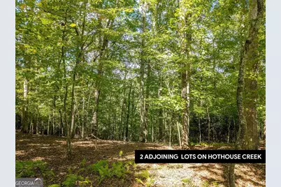Lt 27/28 Donna Lee Lane #27/28, Mineral Bluff, GA 30559 - Photo 1