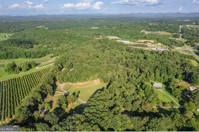 270 Stone Lane, Blue Ridge, GA 30513 - Photo 71