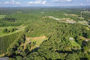 270 Stone Ln, Blue Ridge, GA 30513 - Photo 71