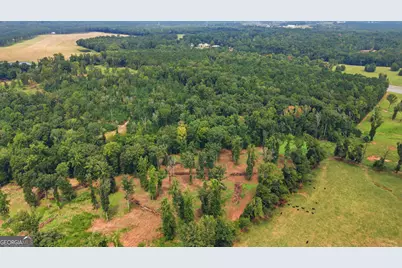 0 Tract 1 Greensoboro Road, Eatonton, GA 31024 - Photo 11