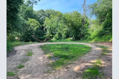 Tract 1 Hwy 29 N, Royston, GA 30662 - Photo 5