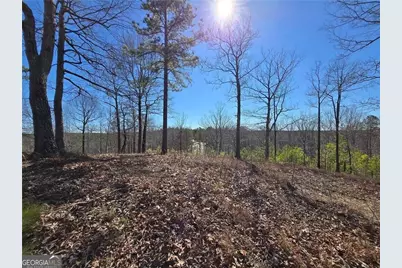 0 Brushy Mountain Road, Rockmart, GA 30153 - Photo 1