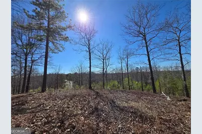 0 Brushy Mountain Road, Rockmart, GA 30153 - Photo 9