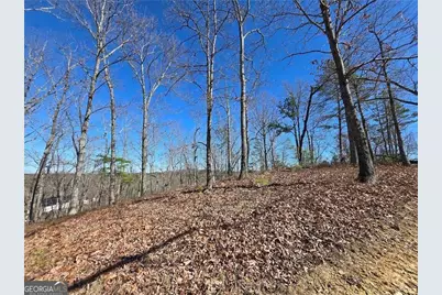 0 Brushy Mountain Road, Rockmart, GA 30153 - Photo 7