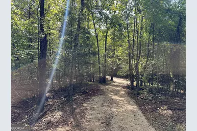 119 Hough Johnson Road, Haddock, GA 31033 - Photo 13