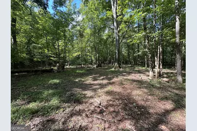 119 Hough Johnson Road, Haddock, GA 31033 - Photo 7