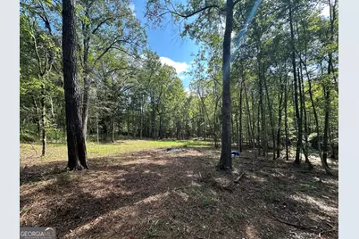119 Hough Johnson Road, Haddock, GA 31033 - Photo 5