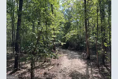 119 Hough Johnson Road, Haddock, GA 31033 - Photo 37